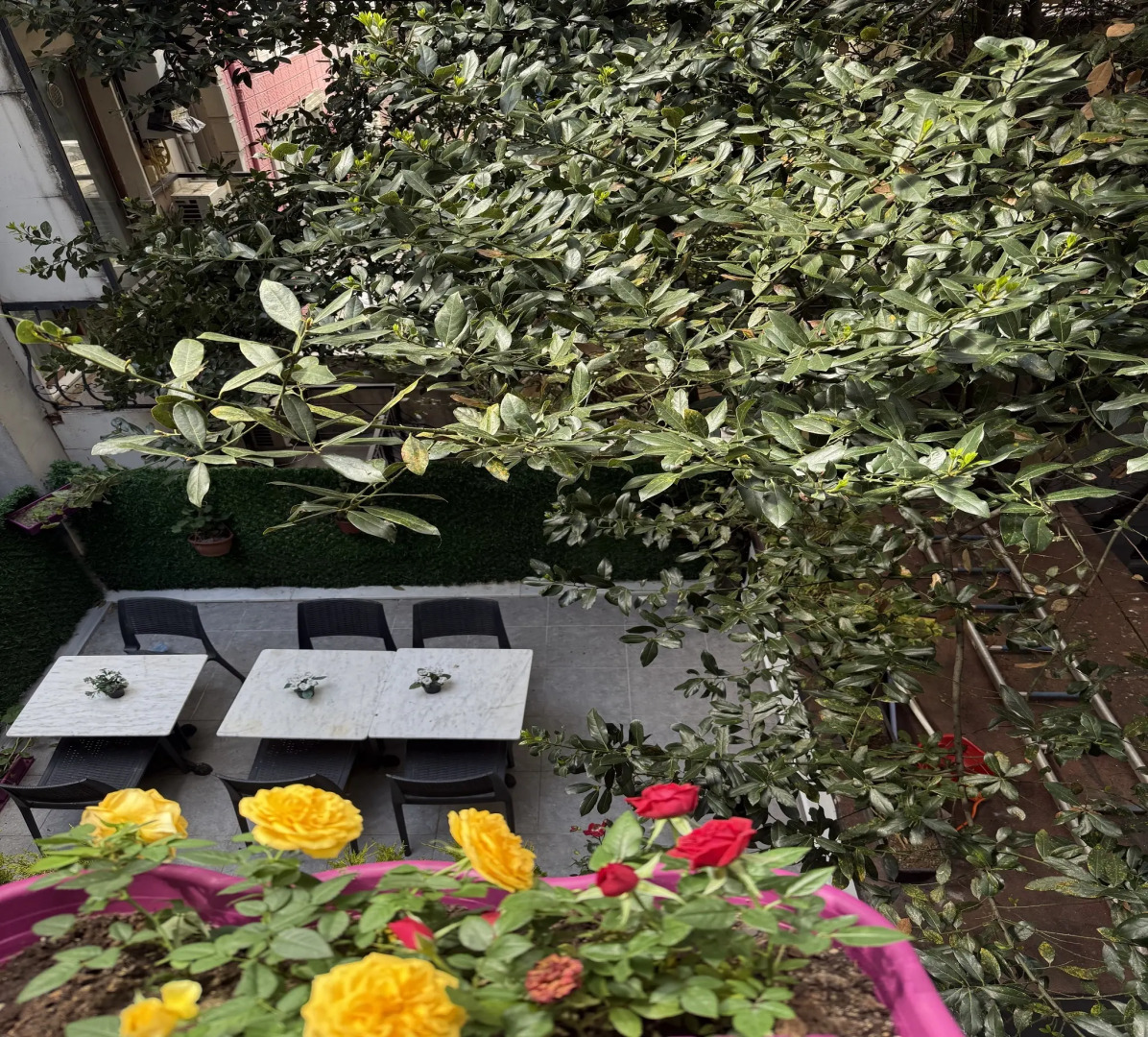 Foto - Guldehan Hotel