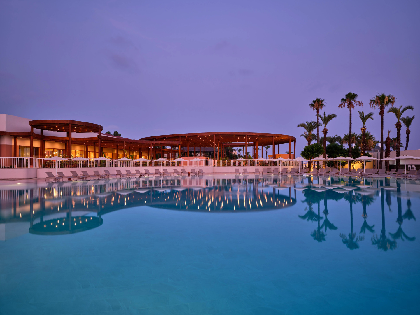 Photo - Paloma Grida