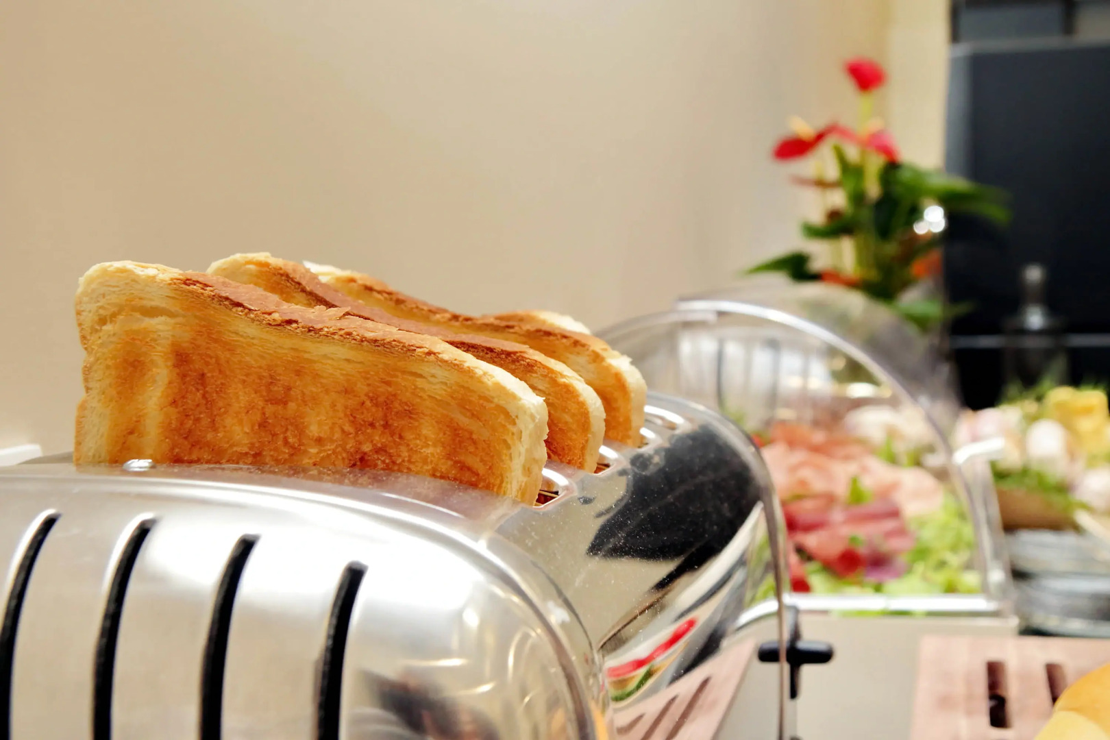 Foto - Casa Santa Sofia