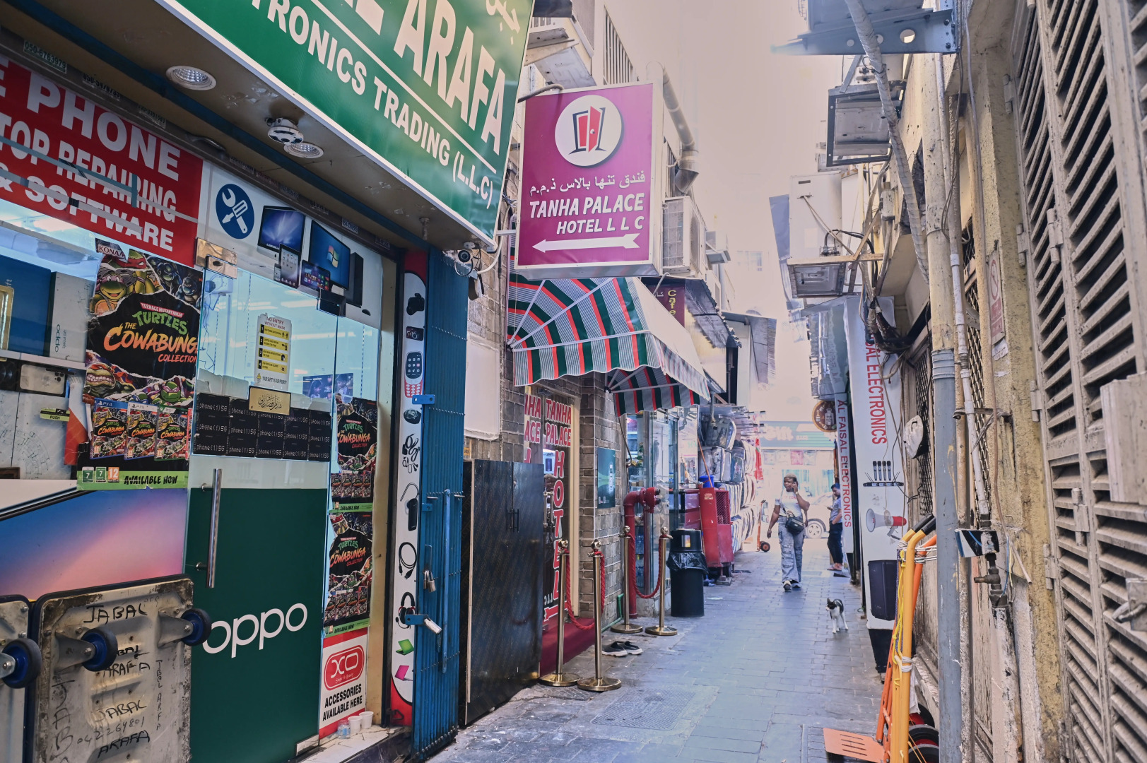 Foto - Tanha Palace Hotel