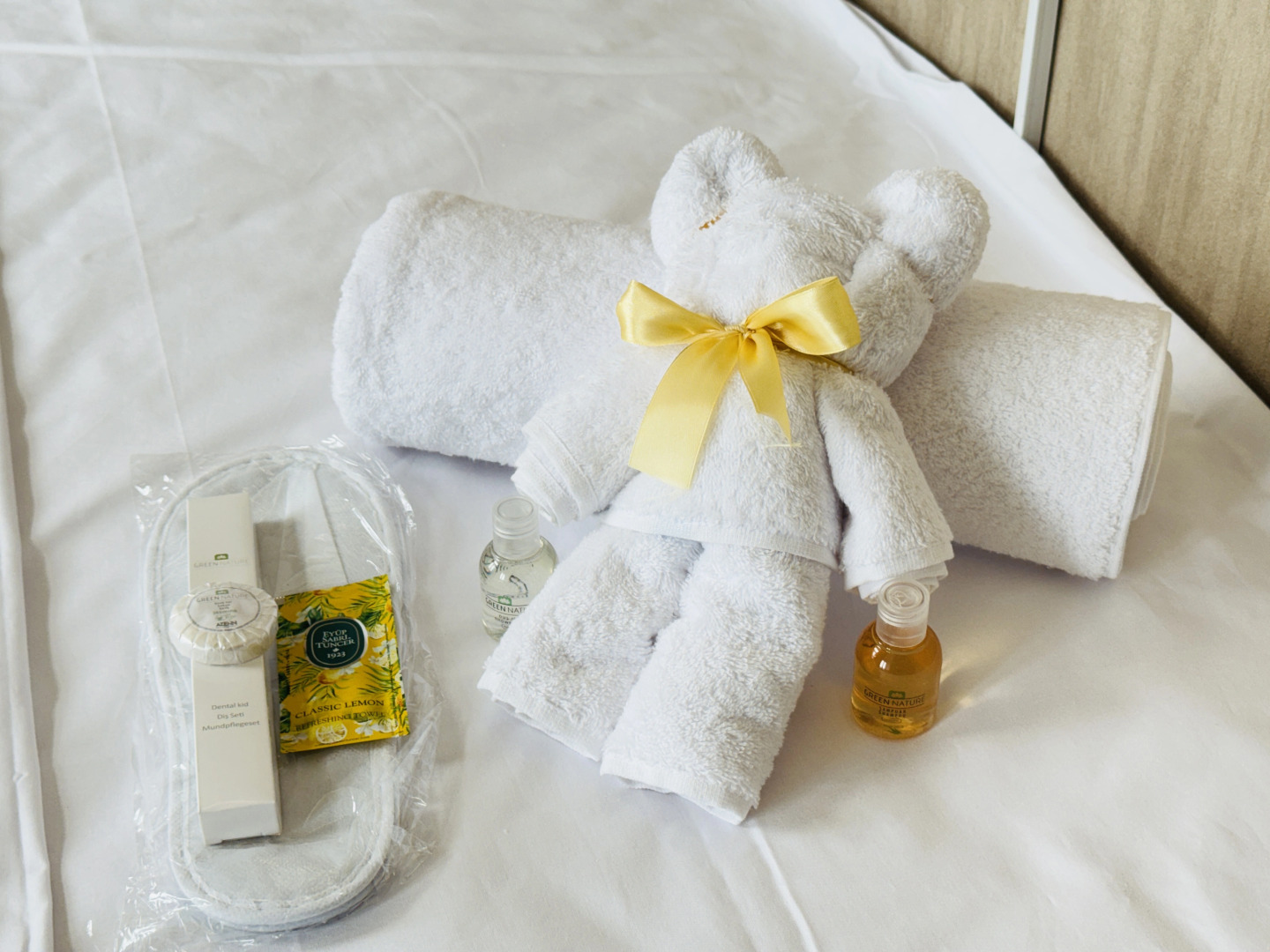 Photo - Alina Home Baku hostel