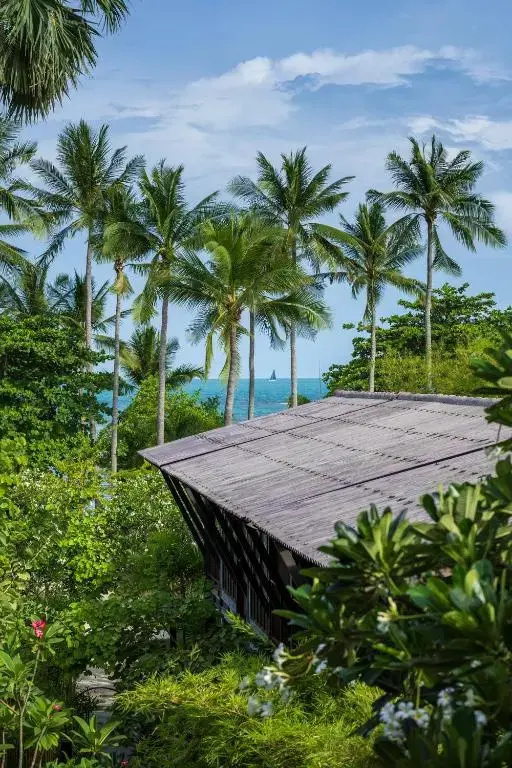 Foto - Homm Chura Samui
