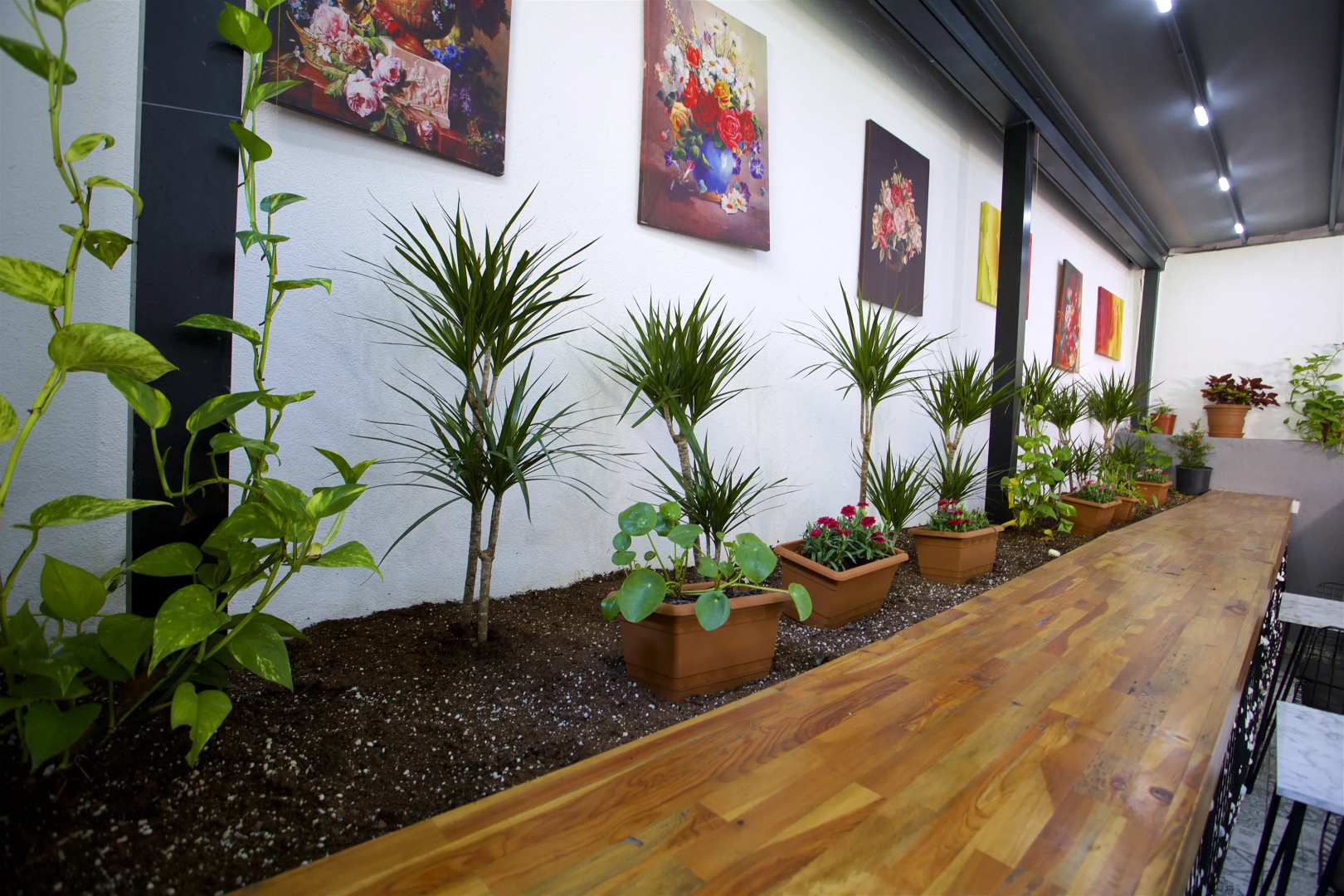 Photo - Almina Inn Hotel