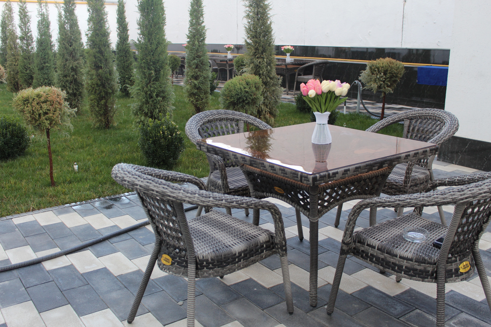 Foto - Hotel Shosh Modern