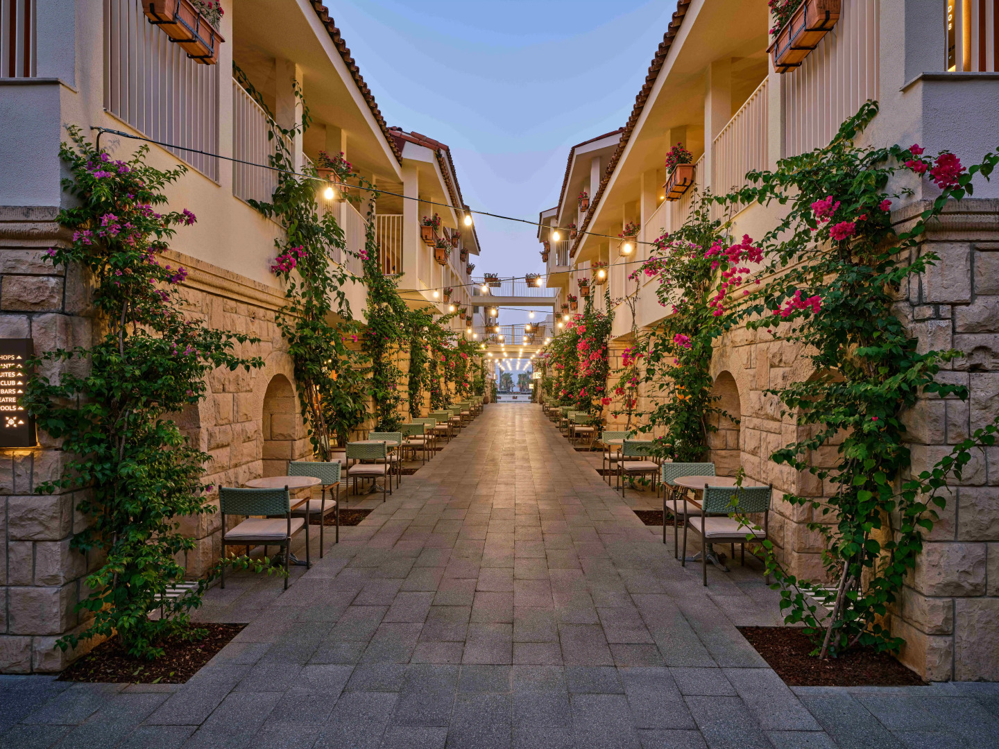 Photo - Paloma Grida