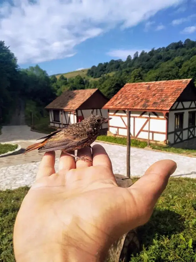 Photo - Ecokayan Dilijan Resort Hotel