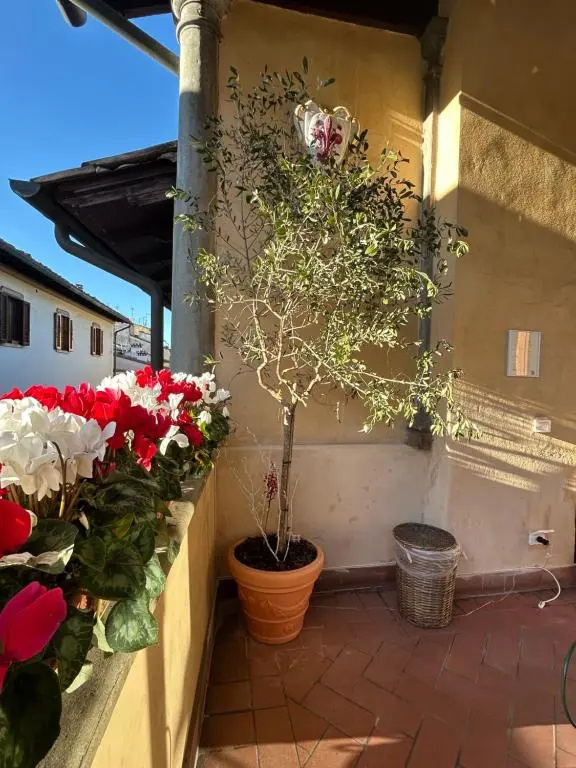 Photo - Hotel Botticelli