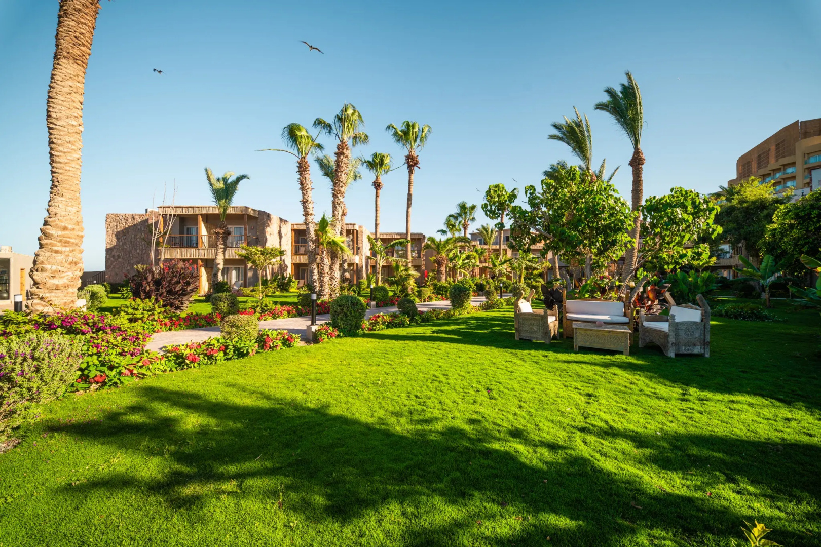 Photo - Jewels Sahara Boutique Resort