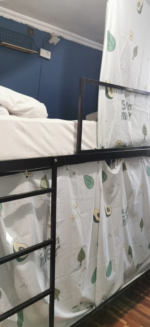 Photo - Harmony Backpackers Hostel