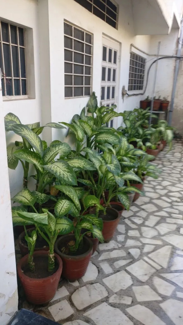 Photo - Abode Homestay