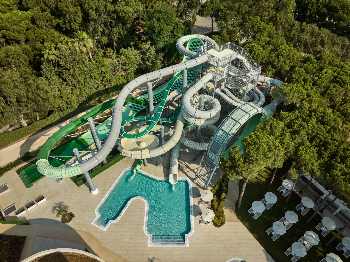 Photo - Paloma Grida