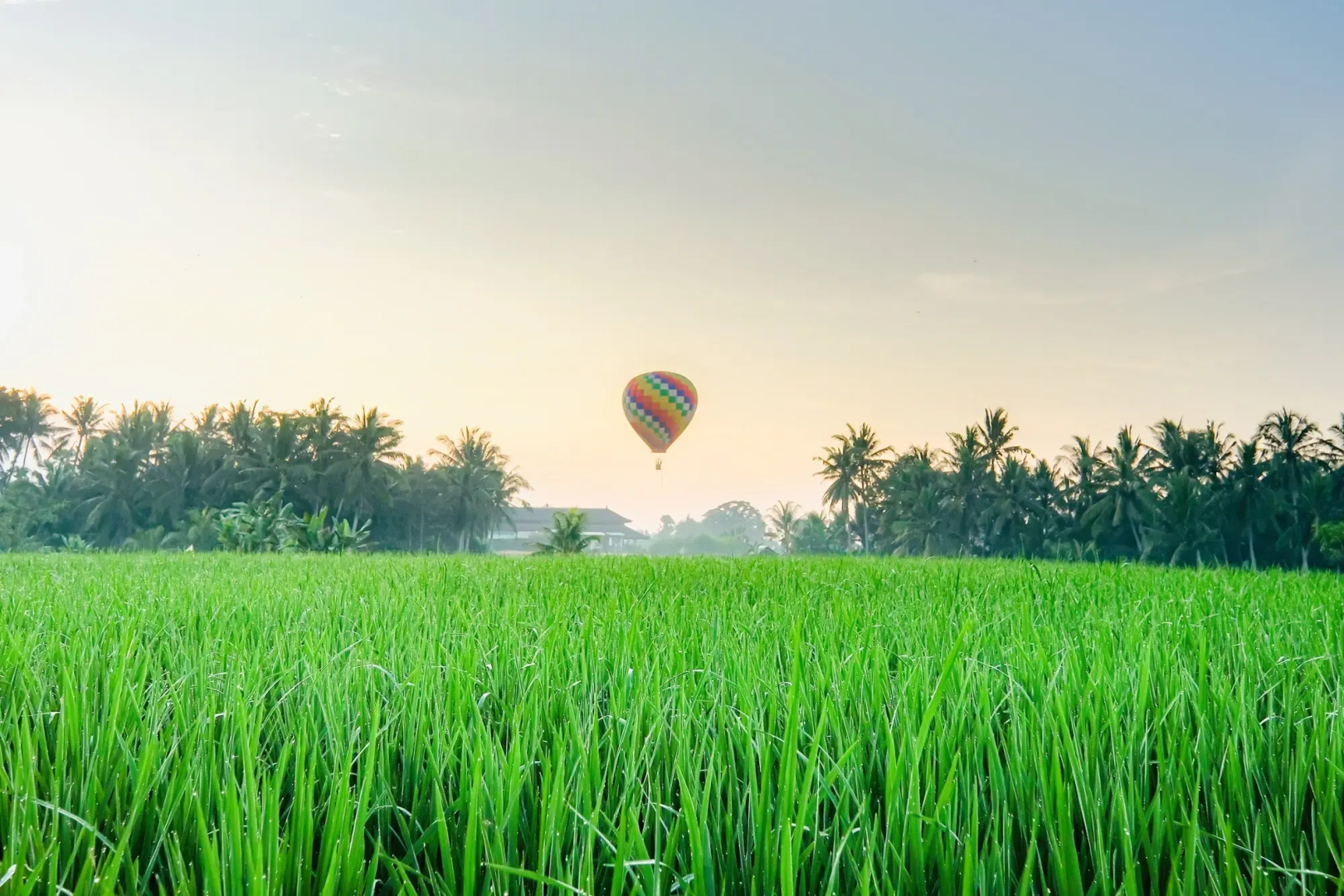 Foto - Ubud Jungle Stay - Mahari by WAHM