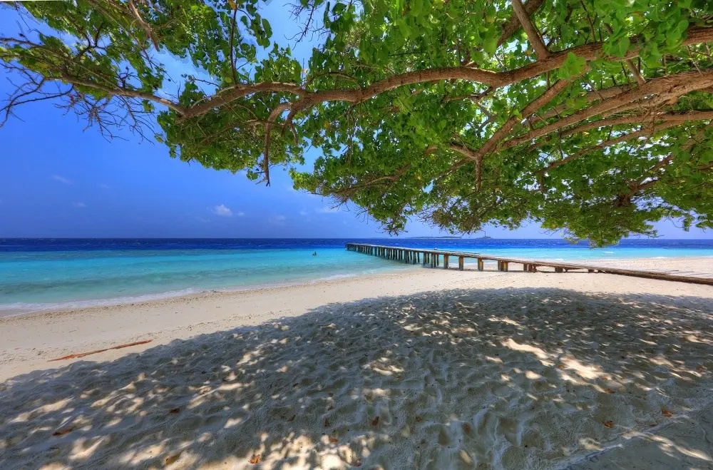 Foto - Koimala Hotel