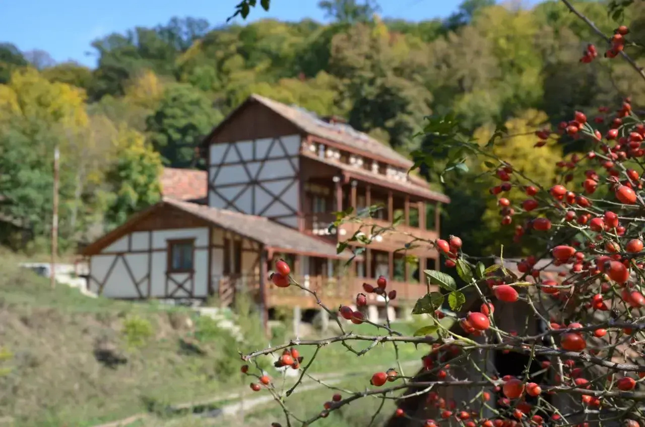 Photo - Ecokayan Dilijan Resort Hotel