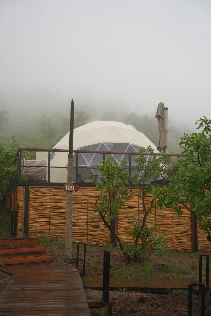 Foto - EcoHouse Glamping by Art Hotel