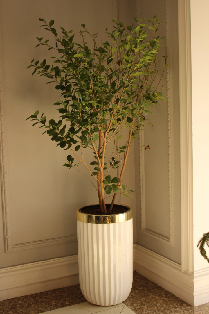 Foto - South Hotel Tashkent