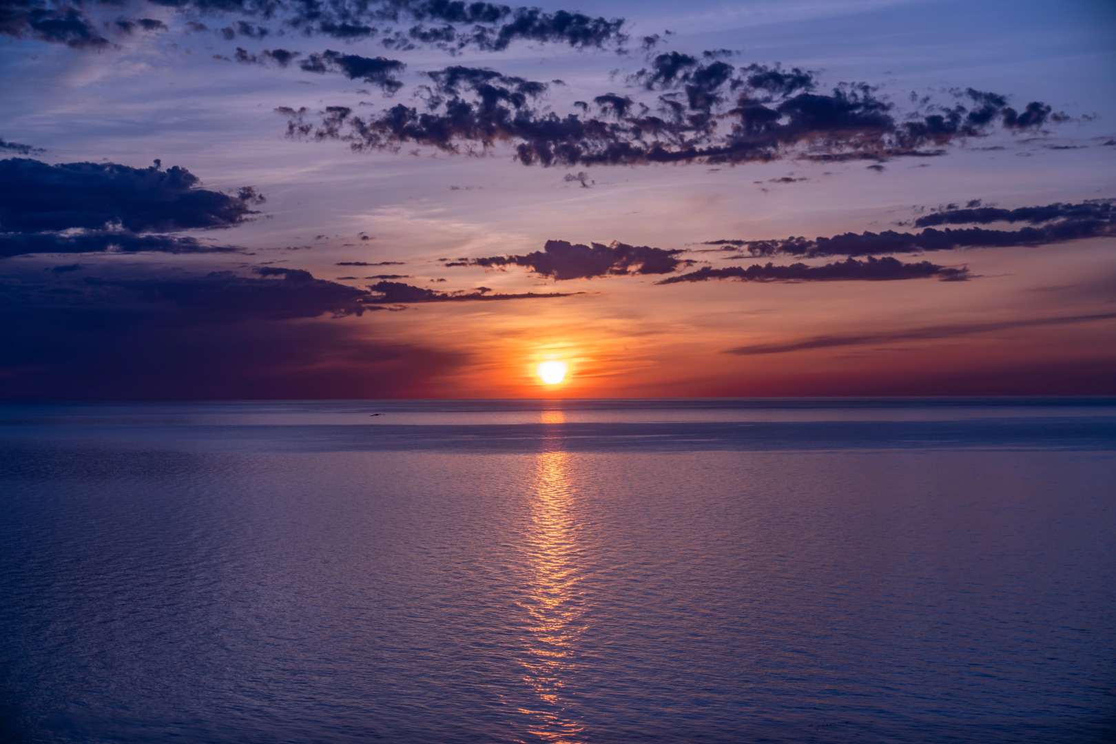 Foto - Alliance Palace Batumi