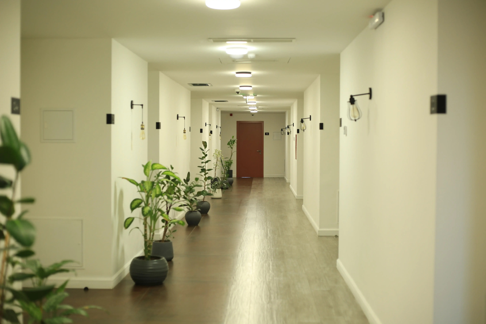 Foto - Rooms Apart Hotel by RED