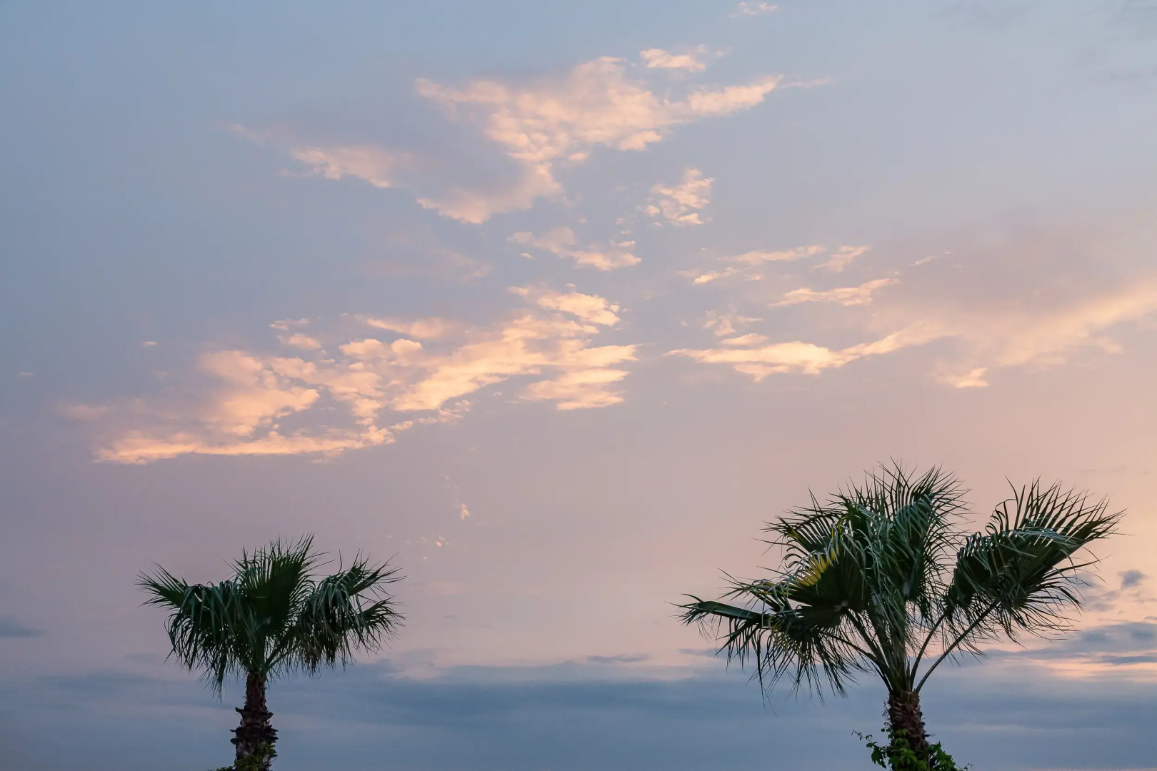 Allium Bodrum Resort & Spa, Bild 42 von 44