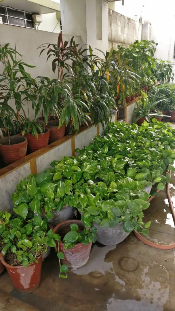 Photo - Abode Homestay