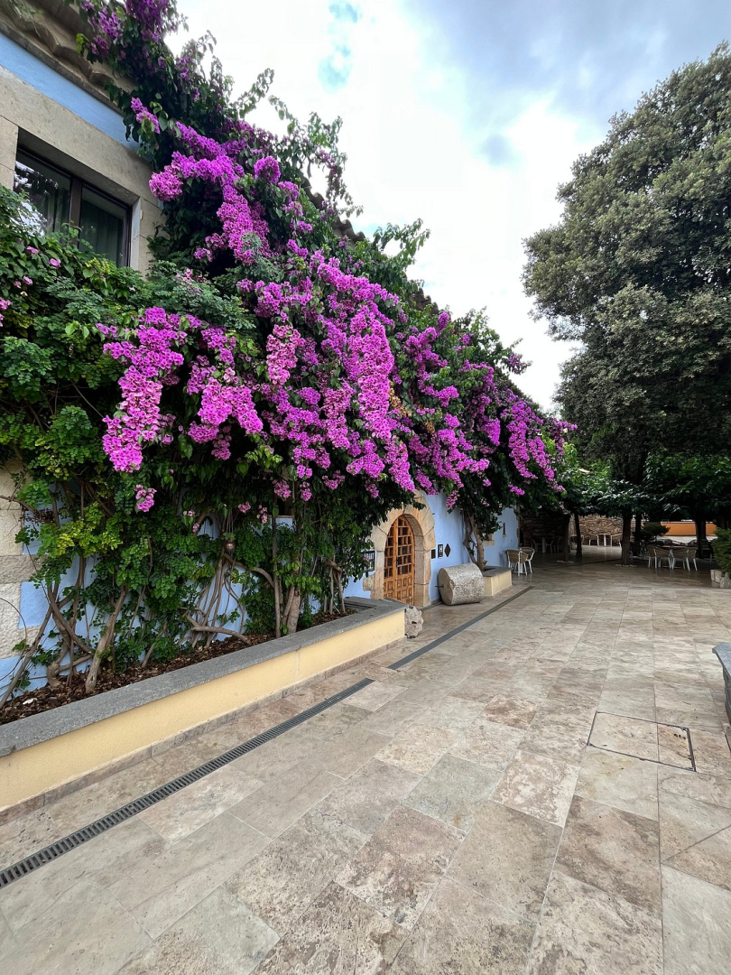 Foto - Comtal Empuries Boutique-hotel