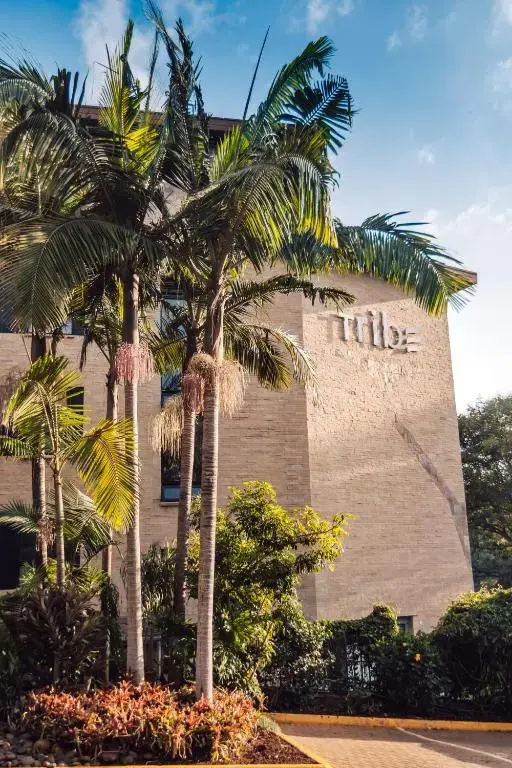 Foto - Tribe Hotel