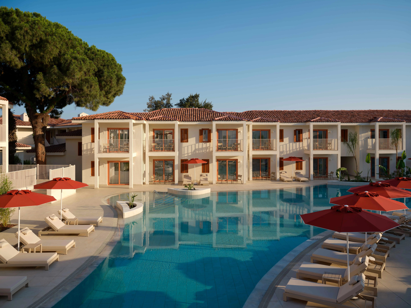 Photo - Paloma Grida