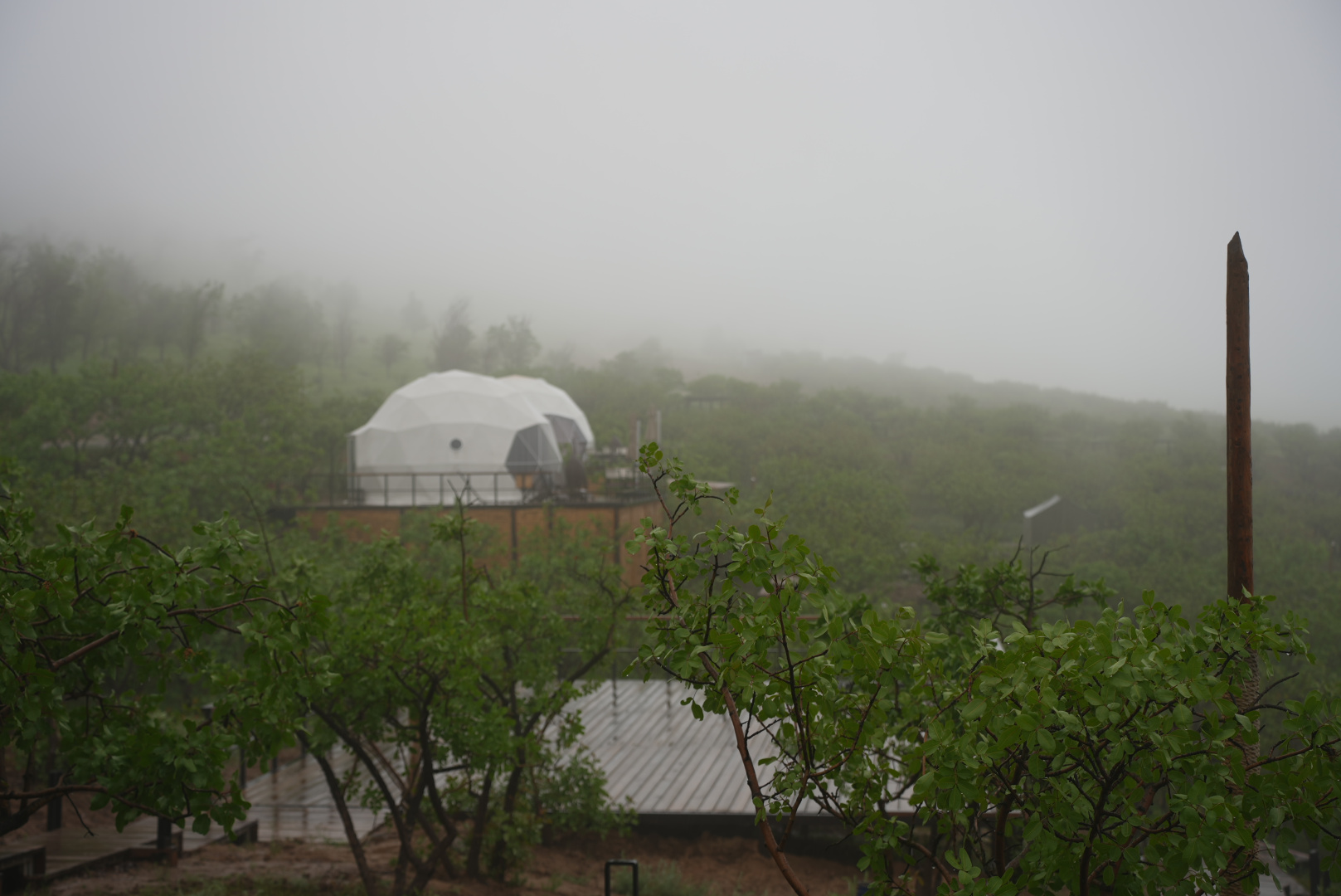 Foto - EcoHouse Glamping by Art Hotel