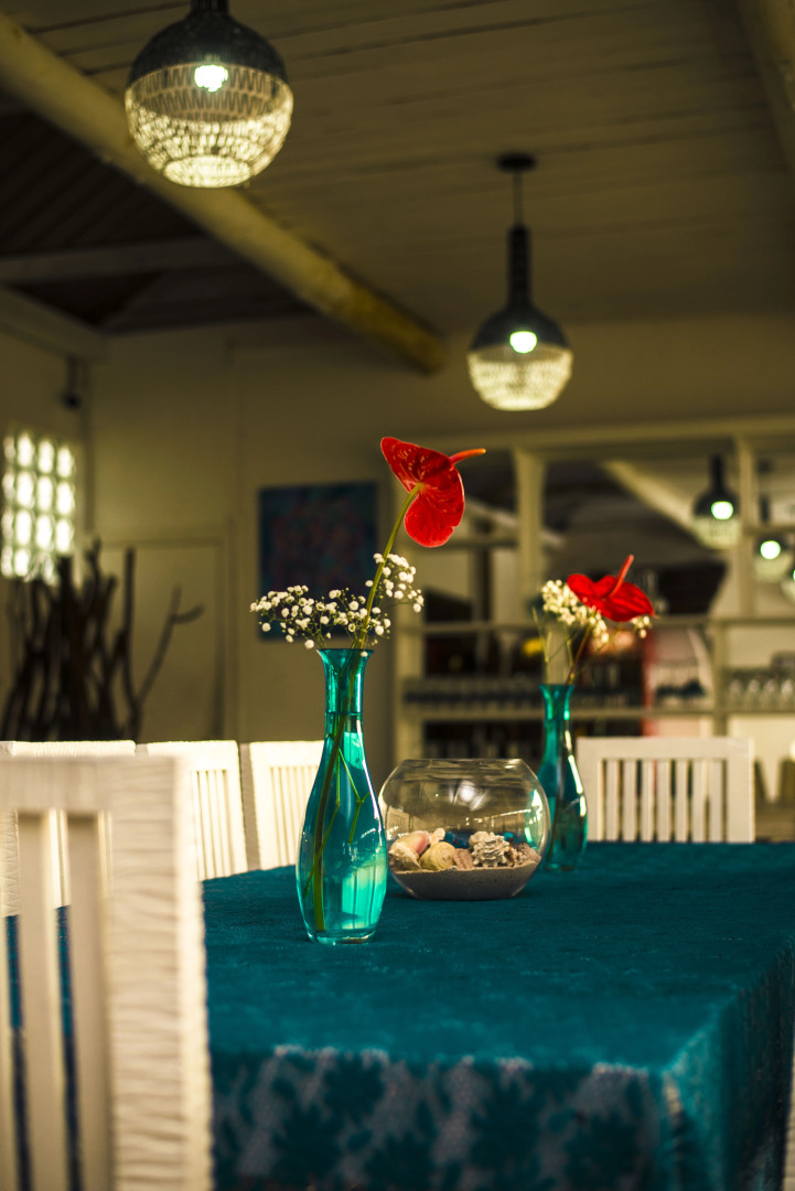 Photo - Stella Rina "Adults Only"