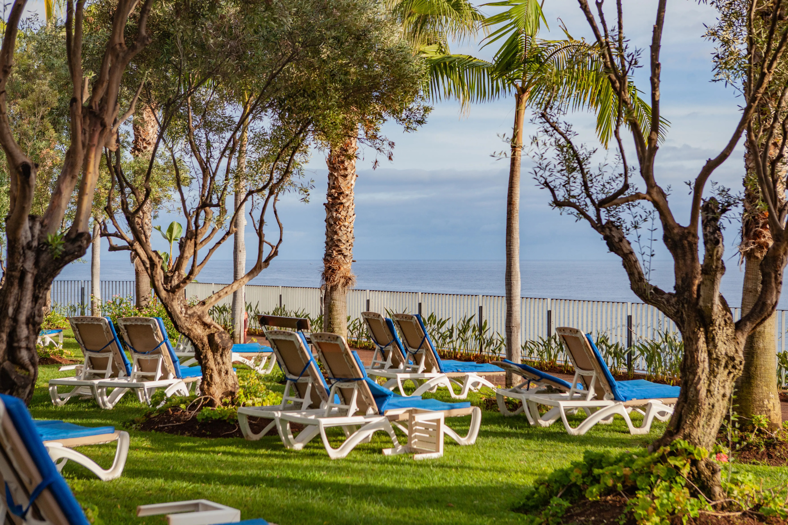 Photo - VidaMar Resort Hotel Madeira