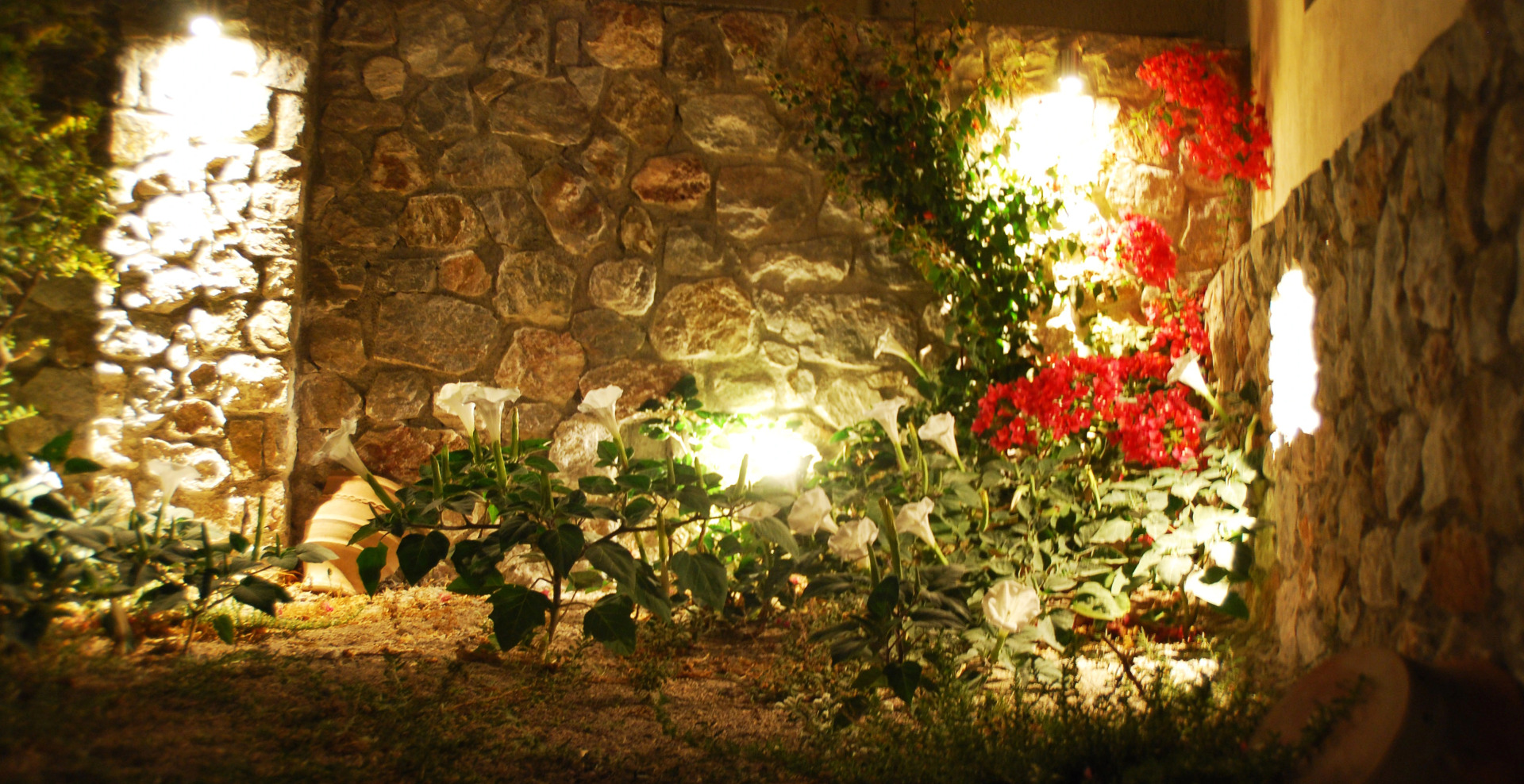 Foto - Aretousa Villas