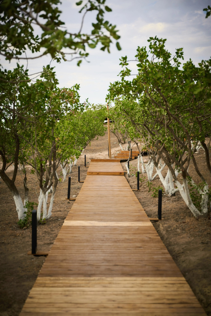 Foto - EcoHouse Glamping by ART HOTEL
