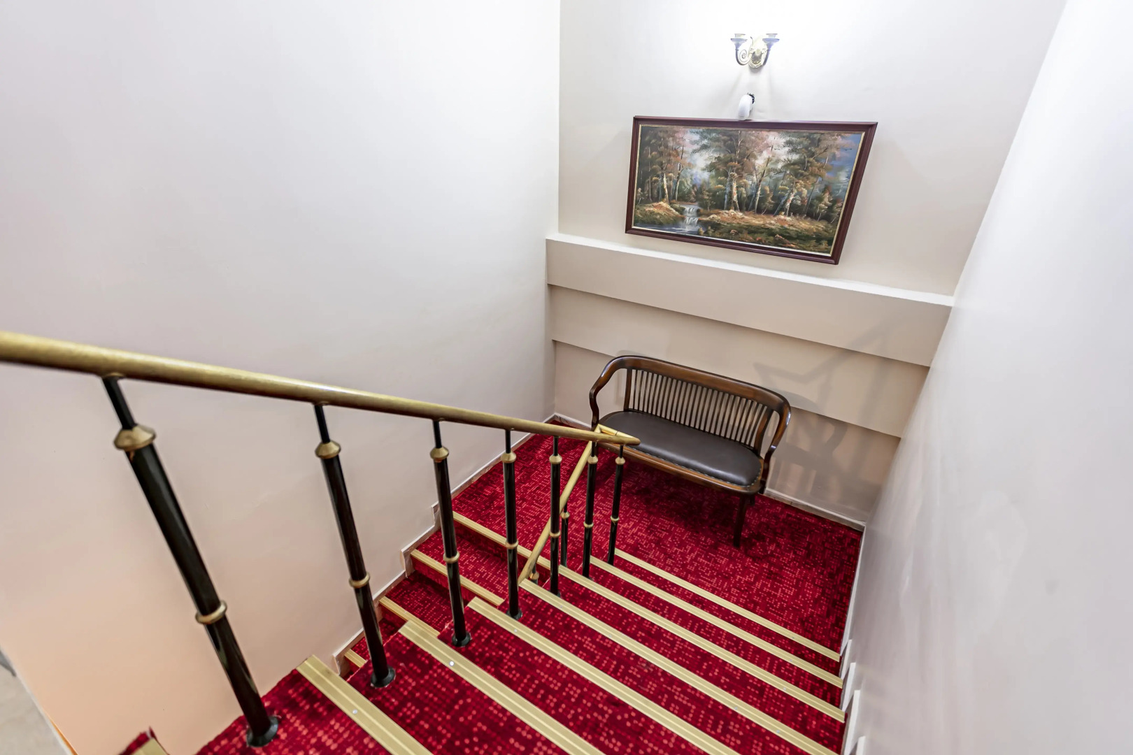 Foto - Elasophia Hotel