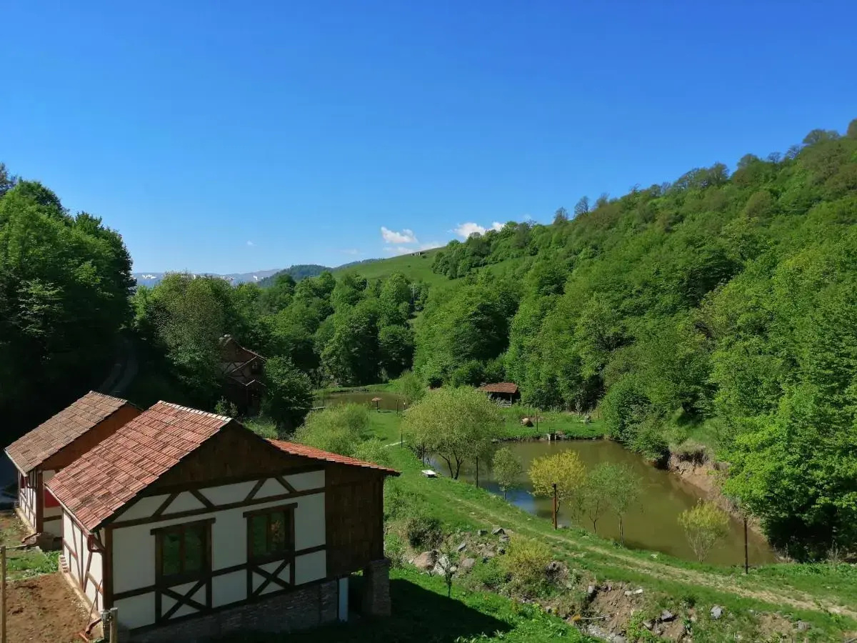 Photo - Ecokayan Dilijan Resort Hotel