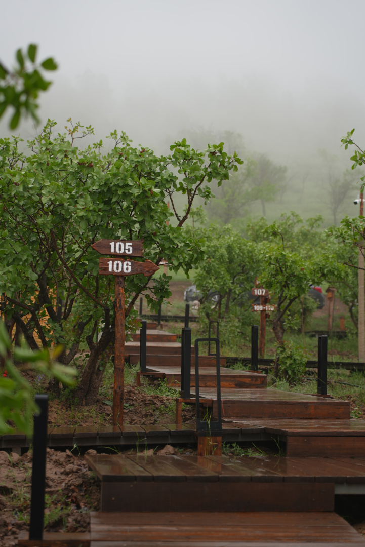 Foto - EcoHouse Glamping by Art Hotel
