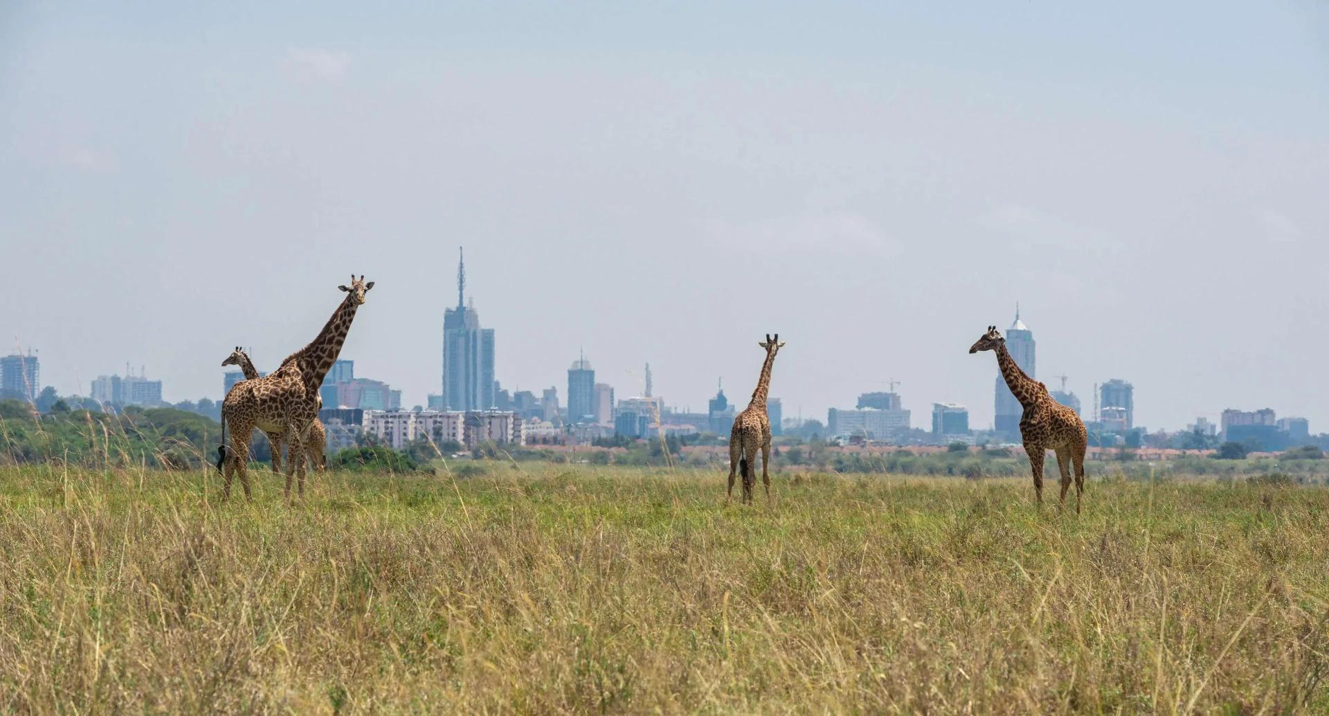 Foto - Park Inn by Radisson Nairobi Westlands