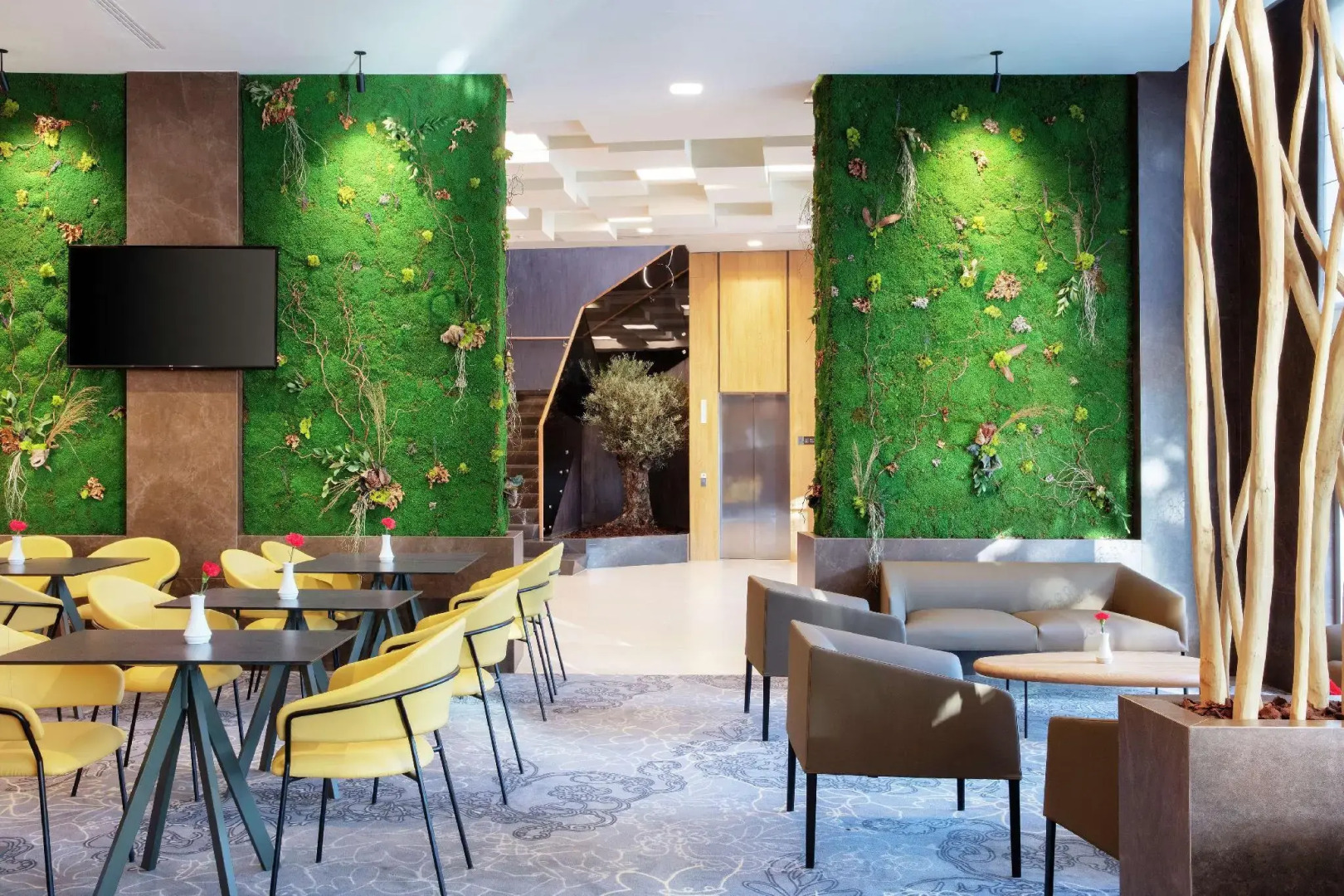 Photo - Hilton Garden Inn Tirana