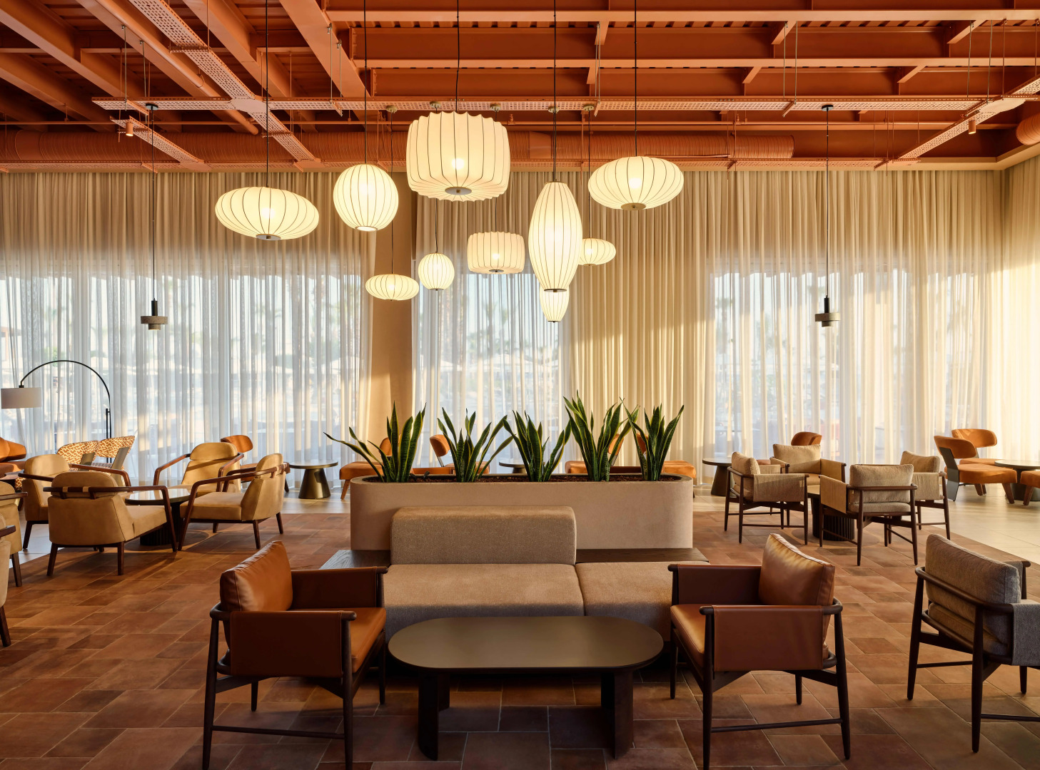 Photo - Paloma Grida