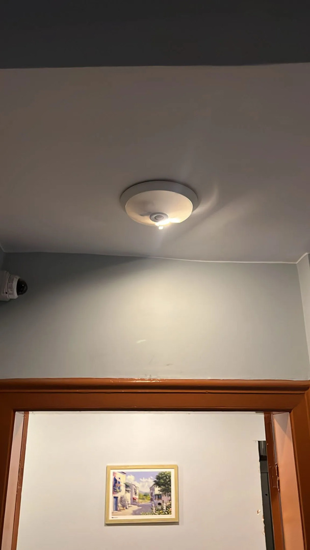 Foto - Bali Star City Hotel