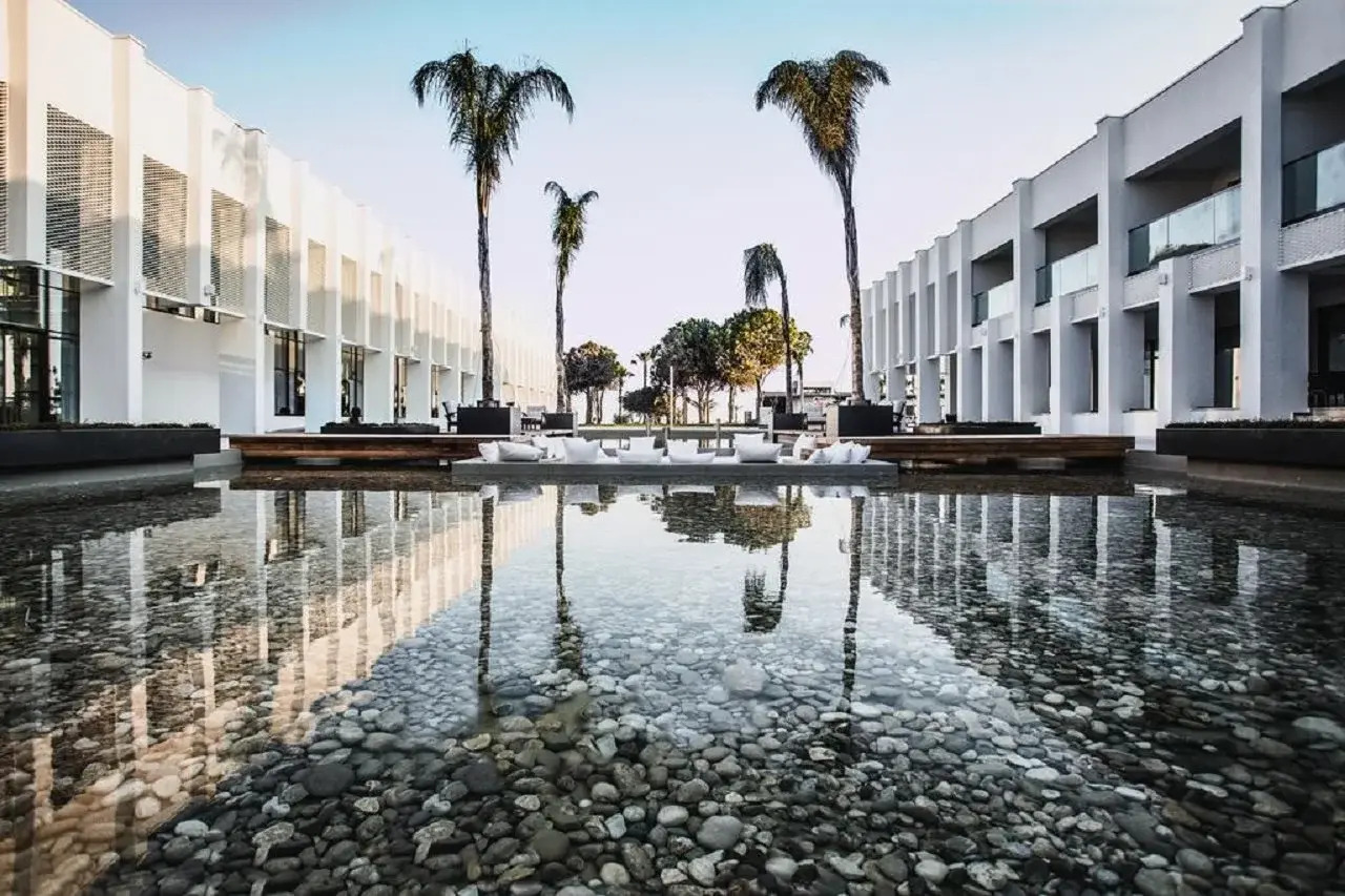 Photo - Paloma Finesse Side