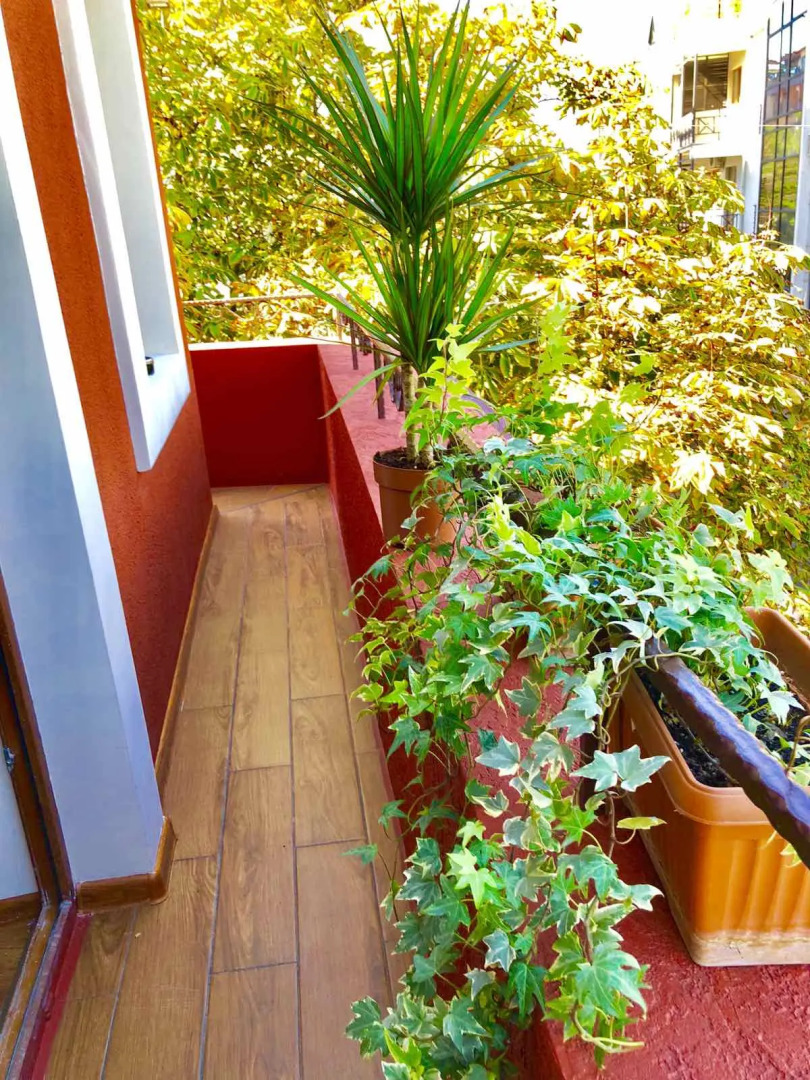 Foto - Hotel British House