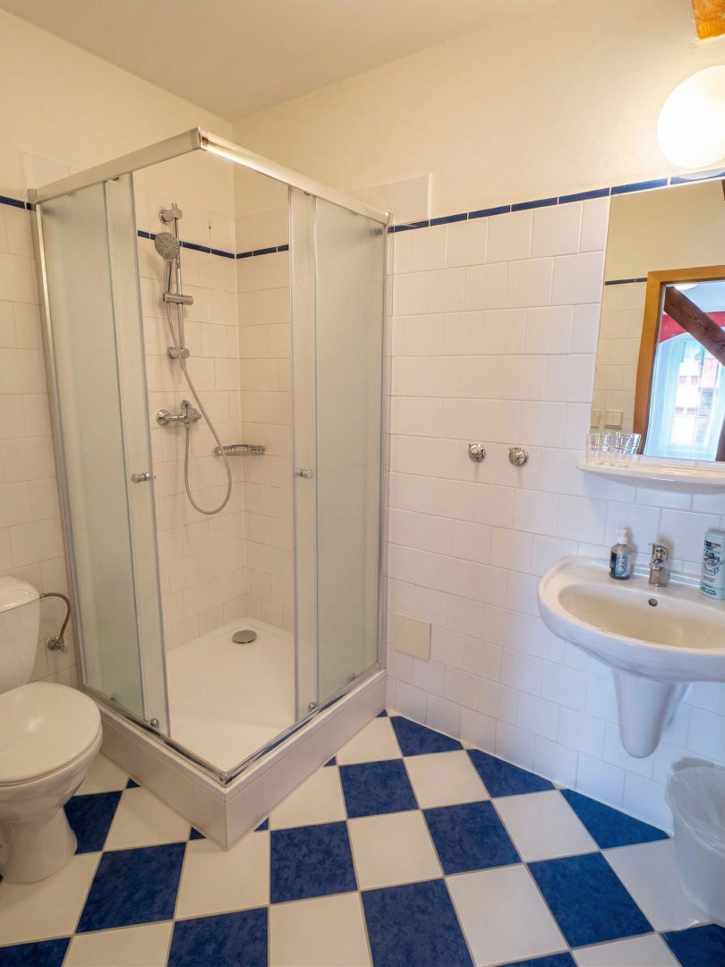 Photo - Pension Brezina Hotel Prague