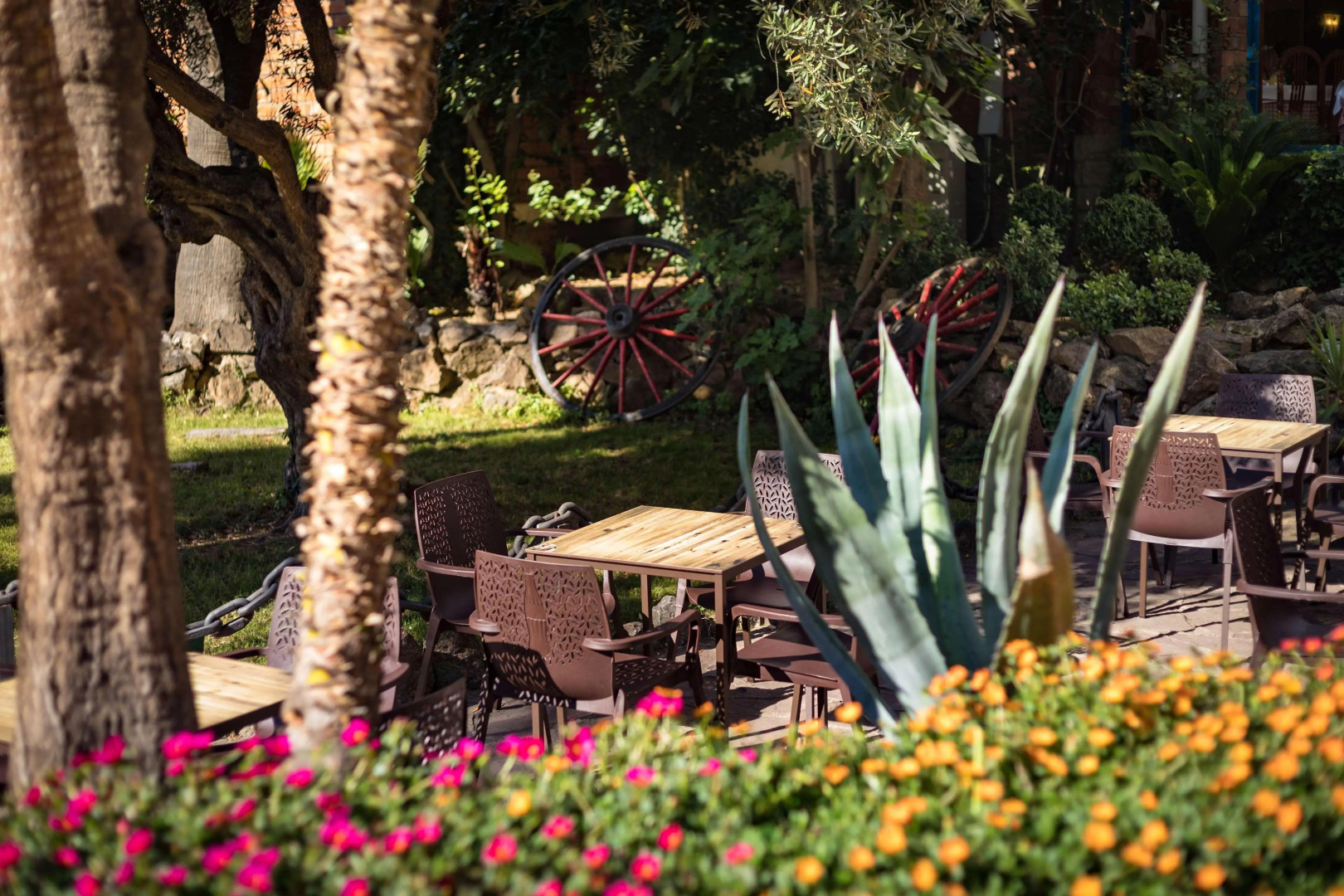 Foto - htop Planamar #htopEnjoy