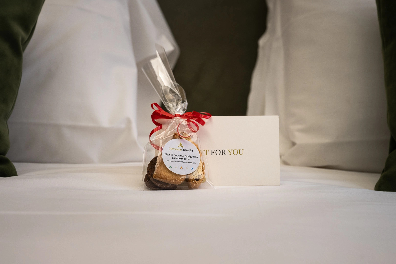 Photo - Hotel Caravita