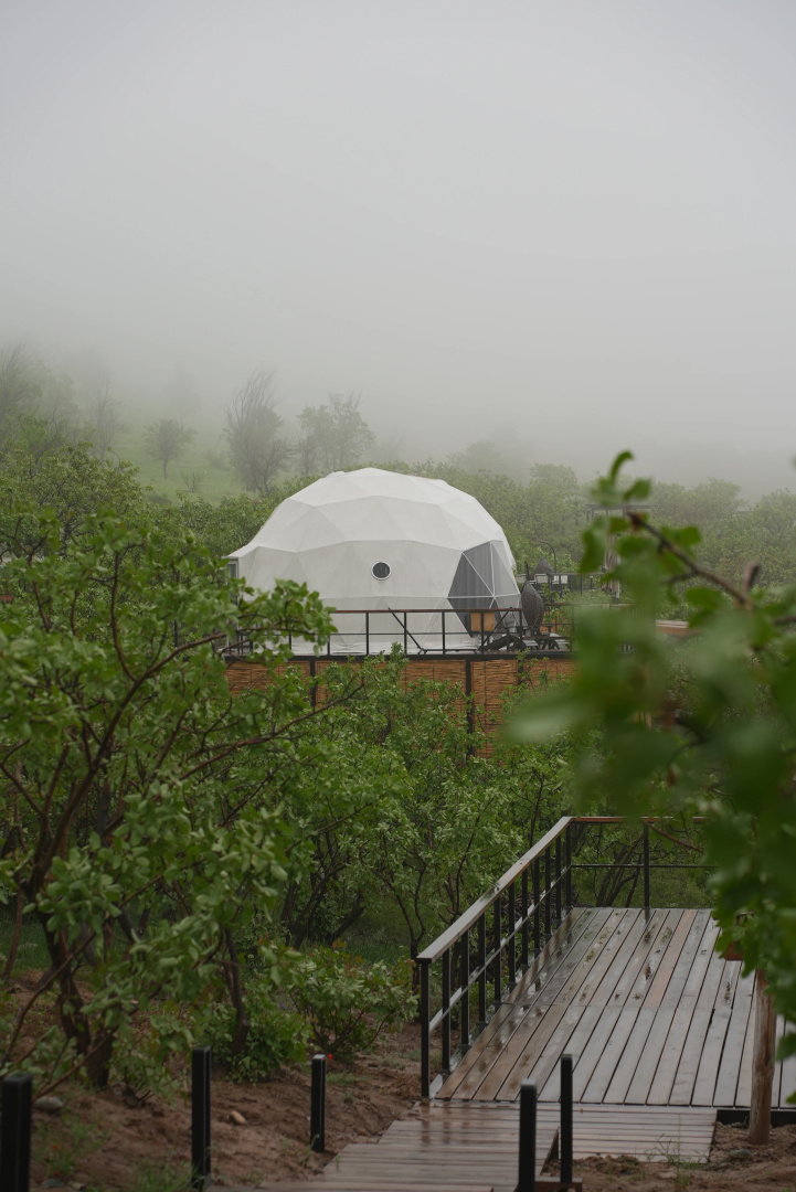 Foto - EcoHouse Glamping by Art Hotel