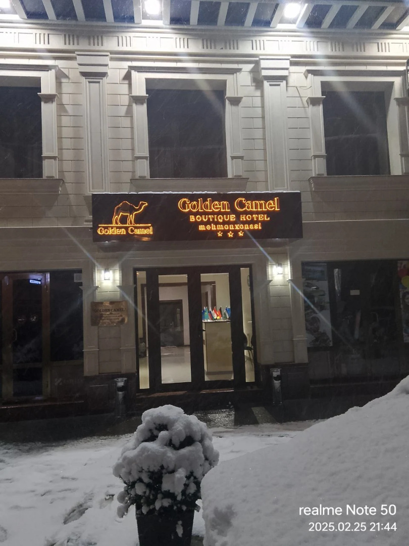 Photo - Golden Camel Registan