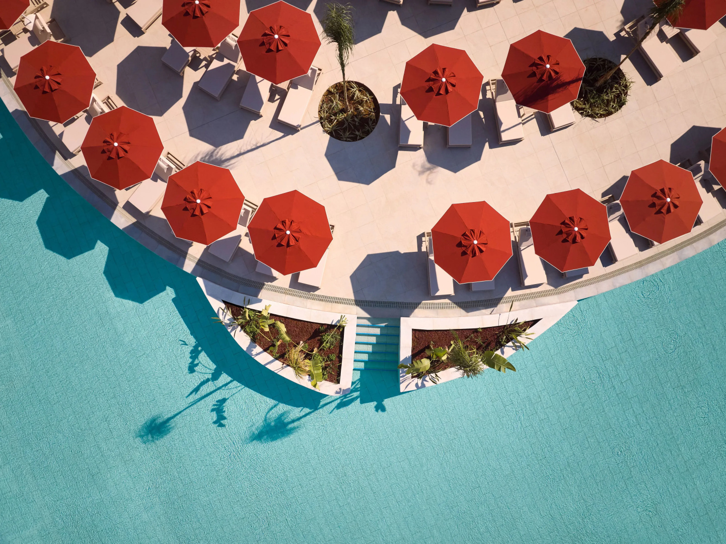 Foto - Paloma Grida - All Inclusive