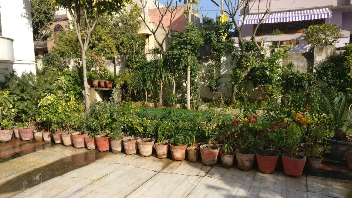 Photo - Abode Homestay