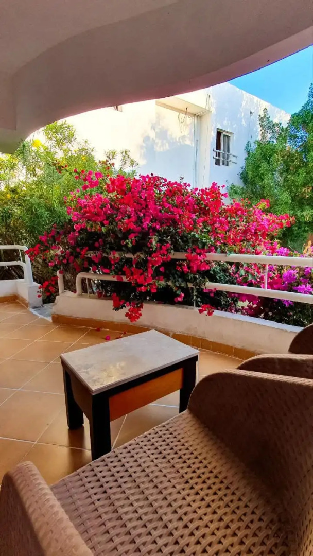 Photo - Viking club hotel