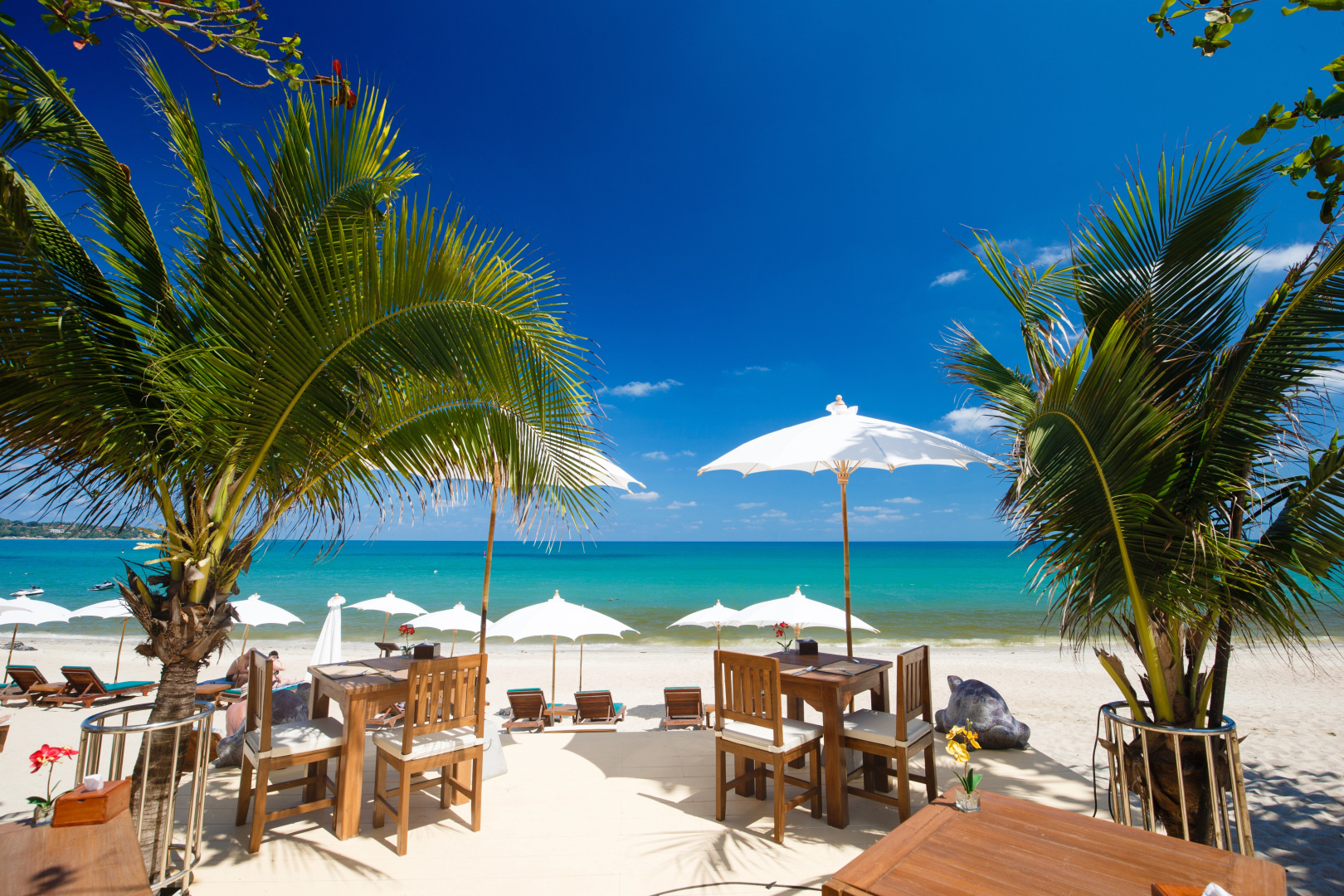 Foto - Lamai Coconut Beach Resort